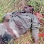 Government force soldiers killed by terrorists in Mozambique