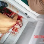 Andrea Varardini Prendiparte