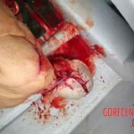 Andrea Varardini Prendiparte