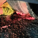 Truck squeezed woman's brain out