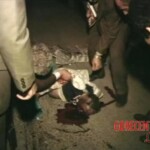 Unsuccessful attempt to cross highway