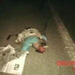 Unsuccessful attempt to cross highway