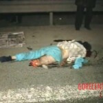 Unsuccessful attempt to cross highway