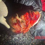 Armed robber eliminated by police officer