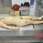 Autopsy of stabbed Chinese woman