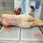 Autopsy of stabbed Chinese woman