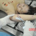 Autopsy of stabbed Chinese woman