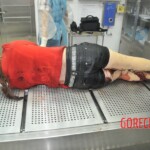 Autopsy of stabbed Chinese woman
