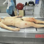Autopsy of stabbed Chinese woman