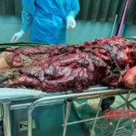 Bomb attacks in the Thai province of Narathiwat