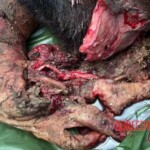 Bomb attacks in the Thai province of Narathiwat