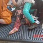 Bomb attacks in the Thai province of Narathiwat