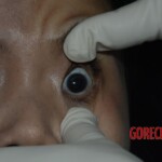 Chinese woman found dead in bed