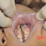 Chinese woman found dead on couch