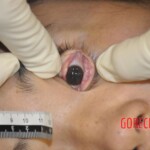 Chinese woman found dead on couch