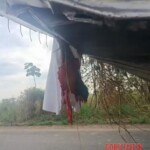 Collision with combine harvester tore off motorcyclist's face