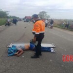 Collision with combine harvester tore off motorcyclist's face