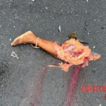 Couple killed in collision between car and truck