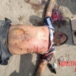 Helkin Erison Jacinto Tafur