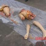 Discovery of dismembered female body