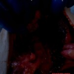 Elderly female pedestrian fatally struck by car