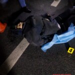 Elderly female pedestrian fatally struck by car