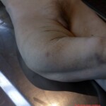 Elderly female pedestrian fatally struck by car