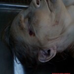 Elderly female pedestrian fatally struck by car