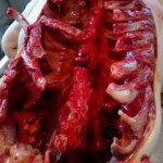 Elderly female pedestrian fatally struck by car