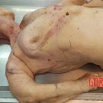 Elderly woman passed away after suffering fatal fall