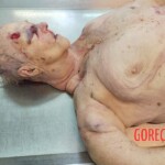 Elderly woman passed away after suffering fatal fall