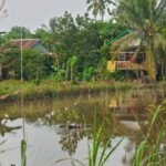 Eldery male corpse found in irrigation pond