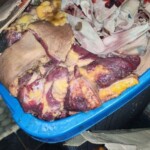 He murdered his girlfriend and ground her up in meat grinder