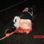 High-speed crash claimed three lives