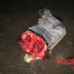 High-speed crash claimed three lives