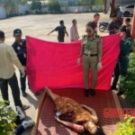 Jealous man kills lover, girlfriend, and then himself