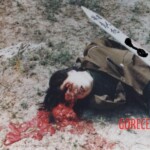 Female prisoners executed by Chinese regime