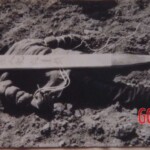 Female prisoners executed by Chinese regime