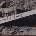 Female prisoners executed by Chinese regime