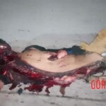 Man struck and dragged for more than 650 feet