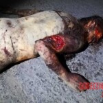 Naked female body with signs of violence was found