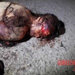 Naked female body with signs of violence was found