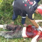 Scottish tourist killed by elephant on Thai island of Koh Samui