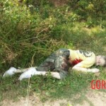 Scottish tourist killed by elephant on Thai island of Koh Samui