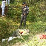 Scottish tourist killed by elephant on Thai island of Koh Samui