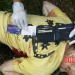 Scottish tourist killed by elephant on Thai island of Koh Samui