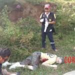 Scottish tourist killed by elephant on Thai island of Koh Samui