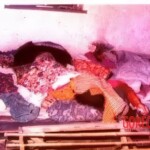 Shot dead in her sleep with hunting rifle