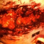 Shot dead in her sleep with hunting rifle