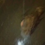 Someone dumped dismembered naked woman on road